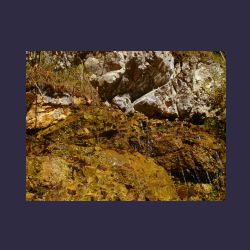 2012-10-20_Fall_AQUILA (091)b.JPG